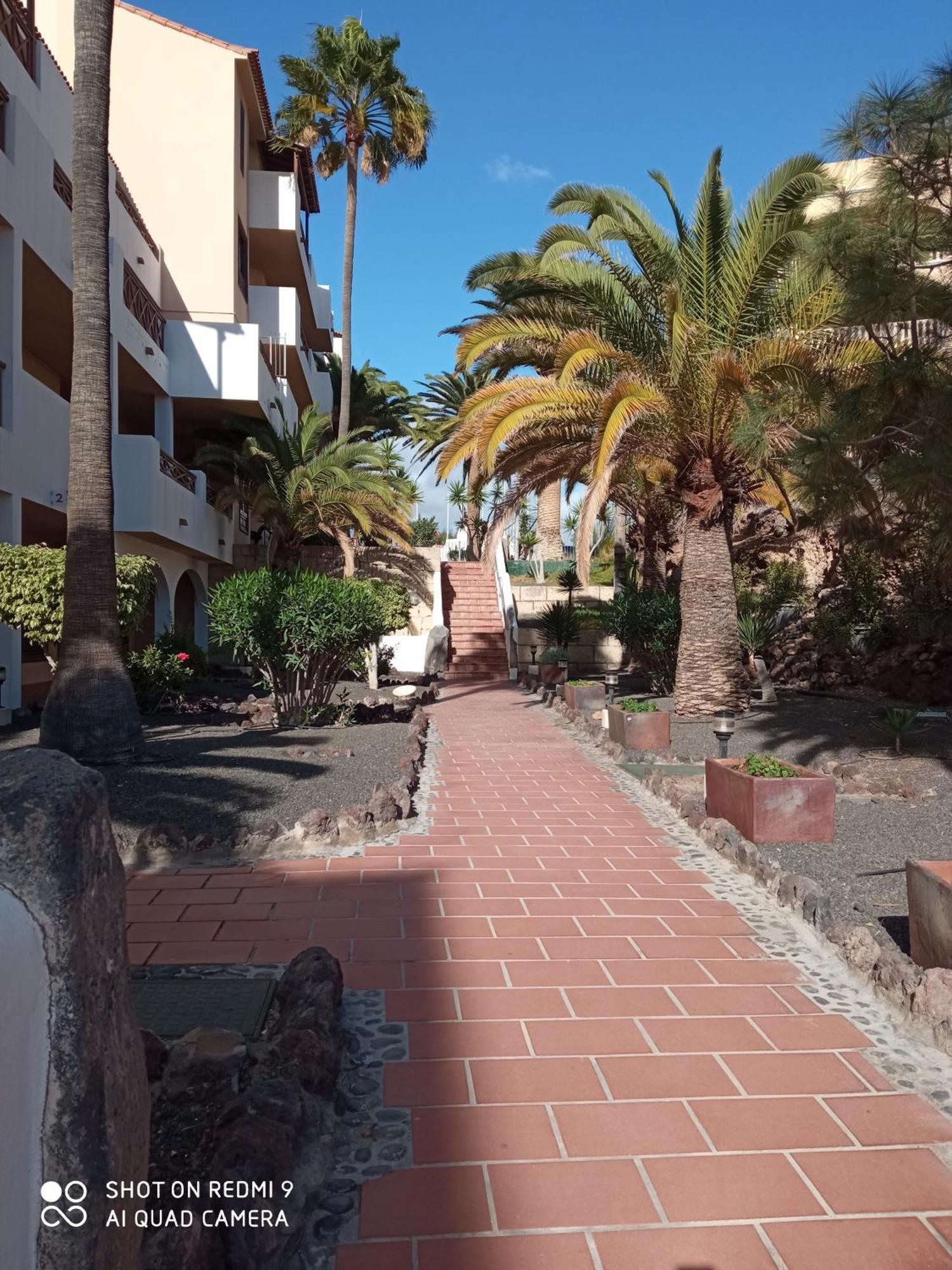Las Meninas Tenerife Σαν Μιγκέλ ντε Αμπόνα Δωμάτιο φωτογραφία
