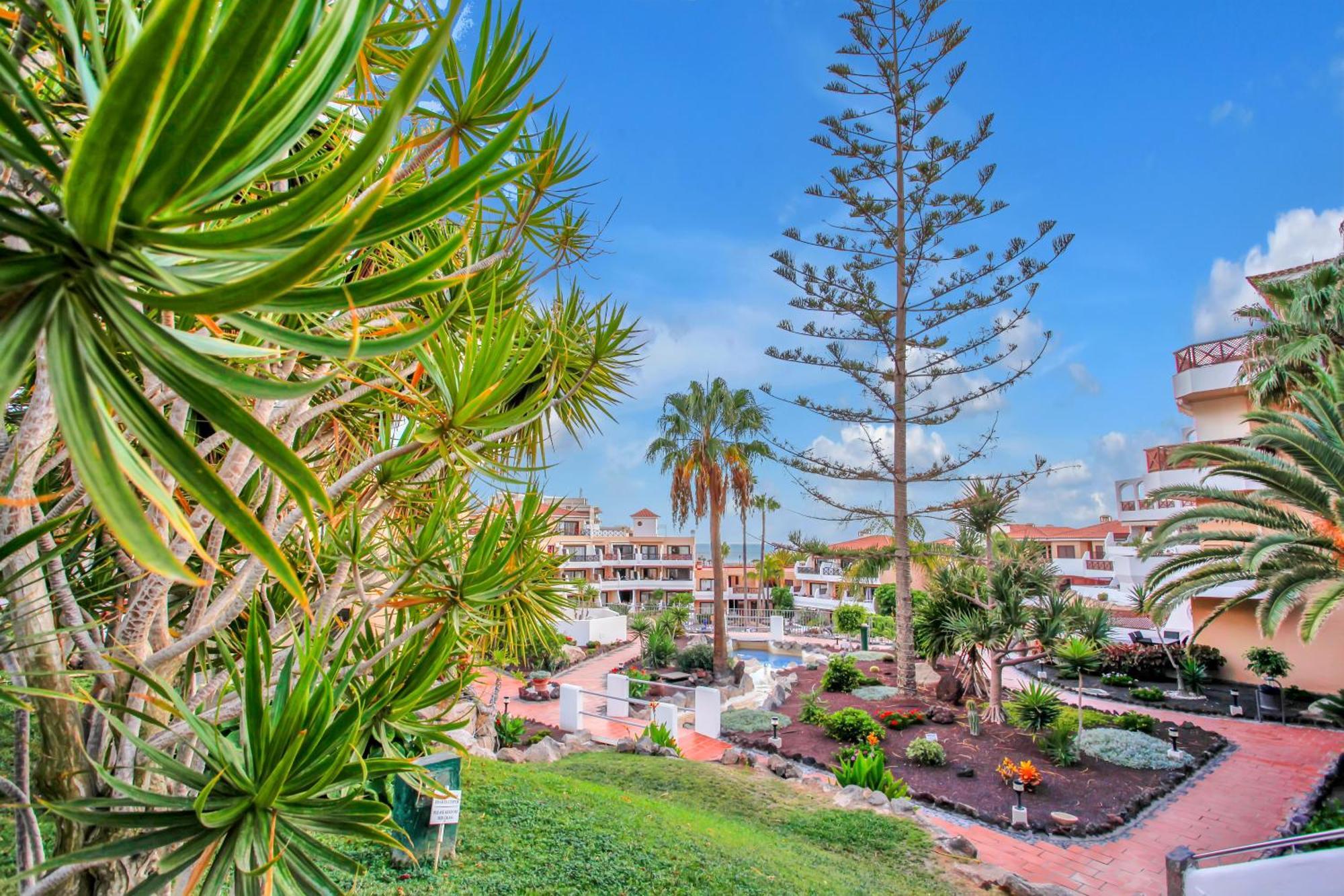 Las Meninas Tenerife Σαν Μιγκέλ ντε Αμπόνα Εξωτερικό φωτογραφία
